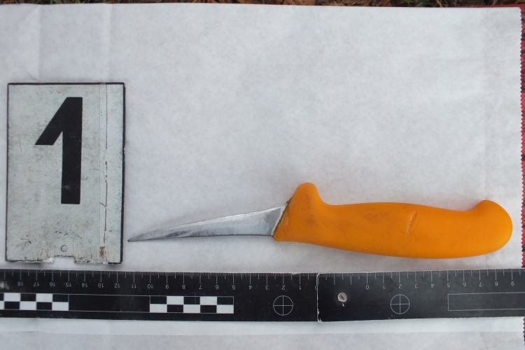 Életveszélyt okozó testi sértés Kétegyházán, 2017. január 18-án.