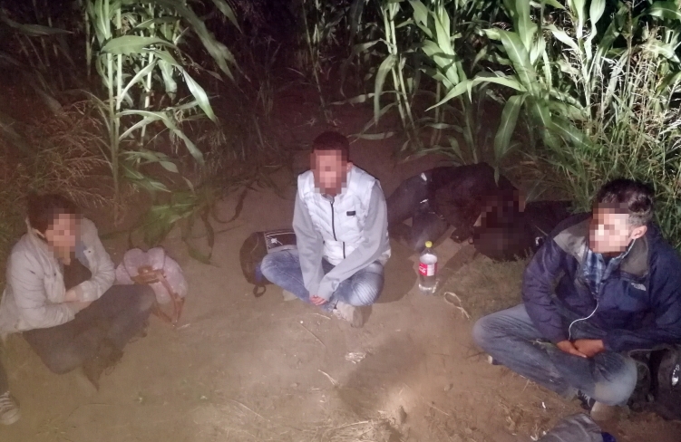 Határsértők elfogása Mezőhegyesen 2017. szeptember 11.